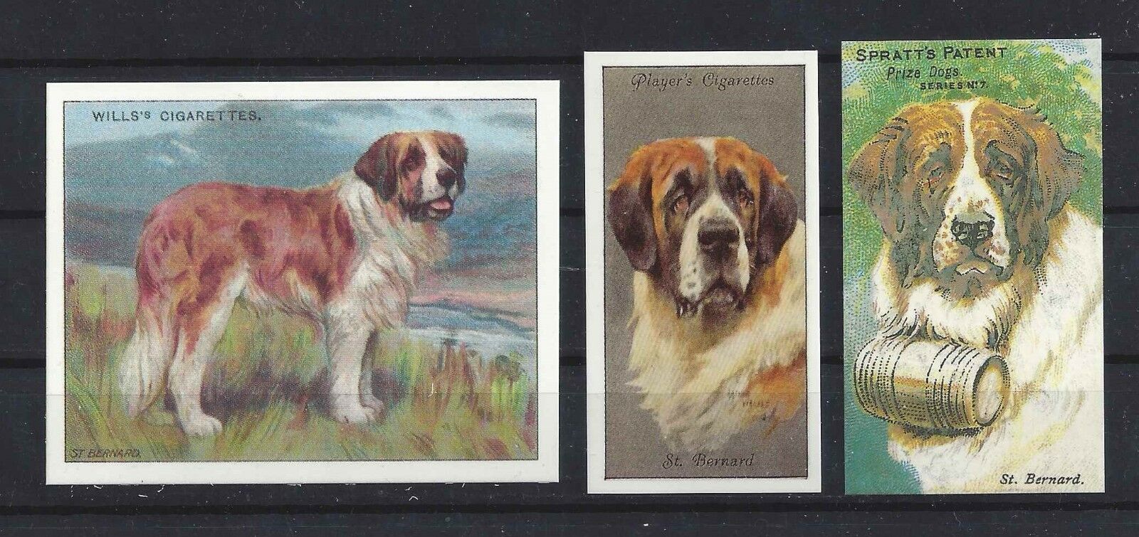 1903 - 1940 Uk Reissue Reproduction Dog Art Cigarette Card Set 3 Saint Bernard