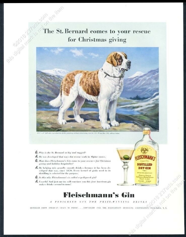 1940 St Saint Barnard Dog Art Fleischmann's Gin Vintage Print Ad